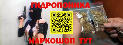 прущие крисы Моздок